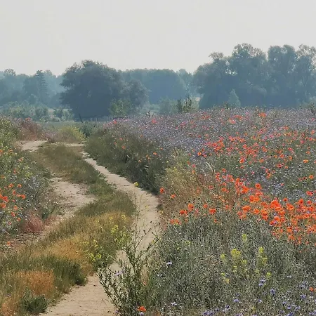 Experience Nature In A Rural Riverside بيت للعطل Paretz