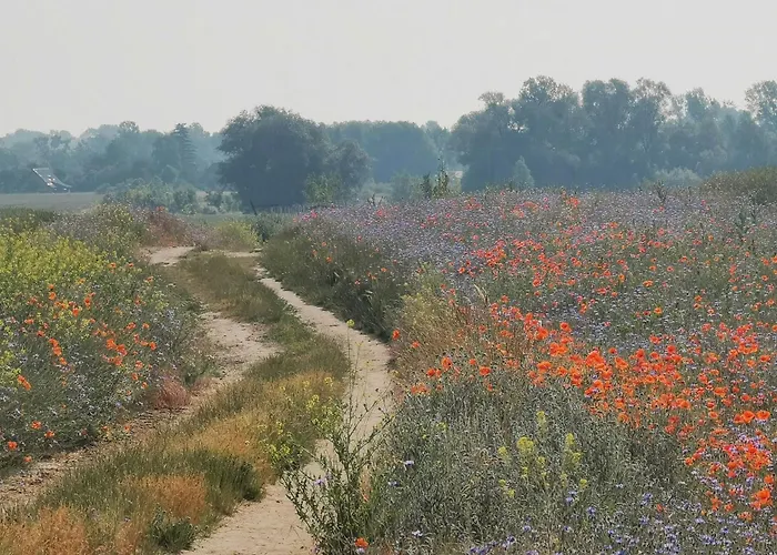 Experience Nature In A Rural Riverside Vakantiehuis Paretz