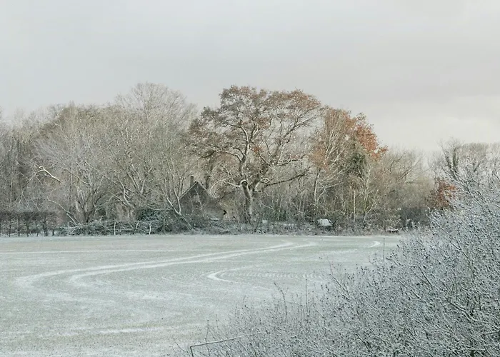 Experience Nature In A Rural Riverside * Paretz